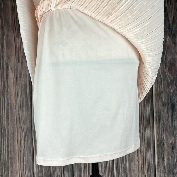 Pleated Pink Skirt - Picture 5 of 8